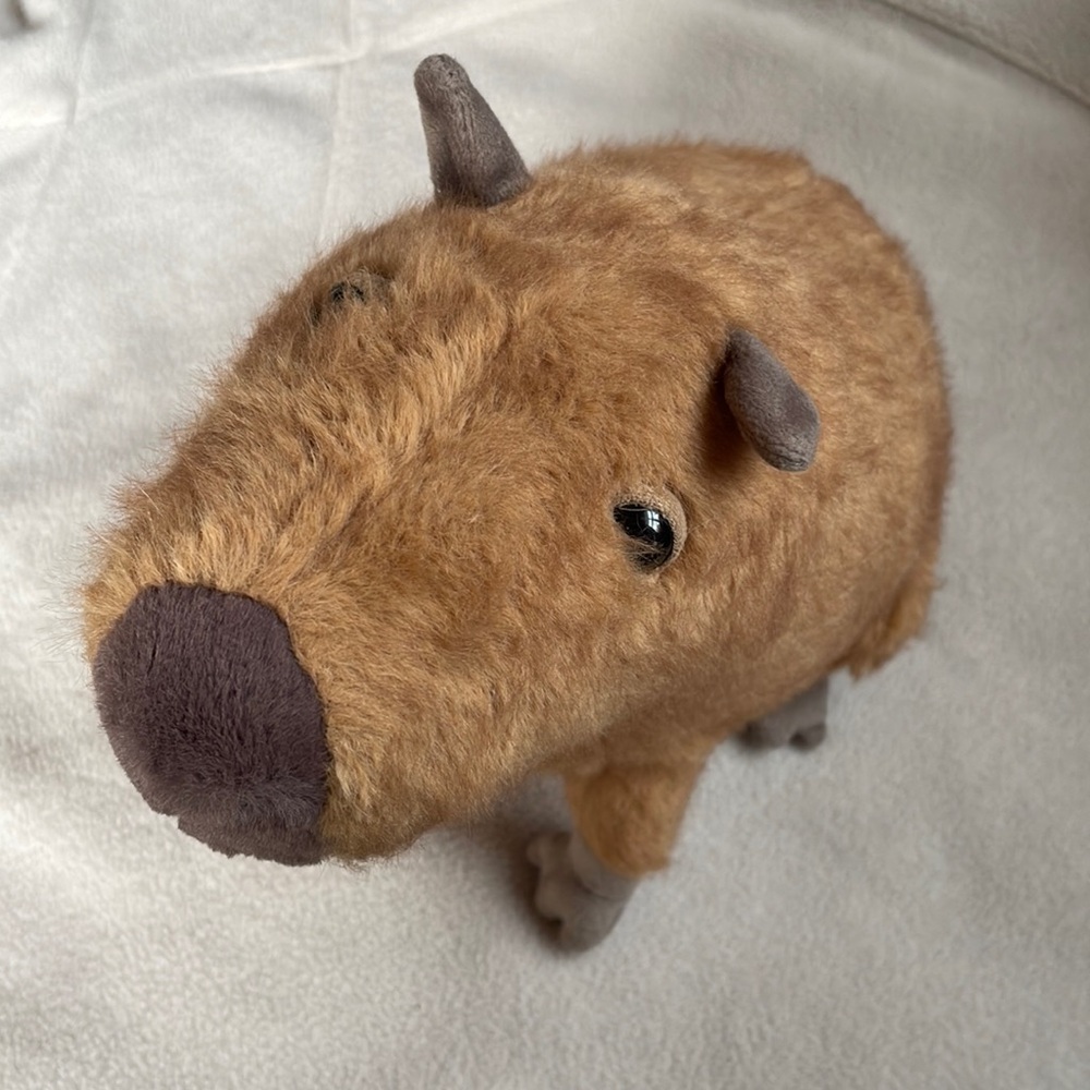 Jellycat Clyde Cabybara